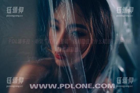 PDL潘多拉 - 听说“陈雅漫圣诞”这组图里没什么魔法？原图倒是真挺别致的。